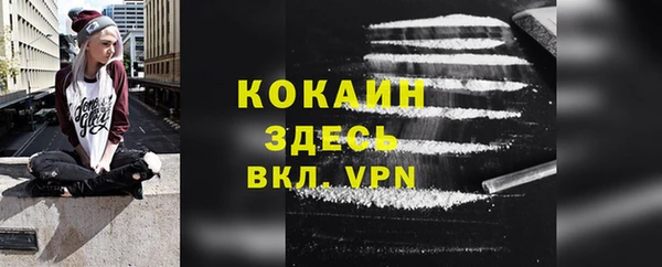 прущие грибы Сосновоборск