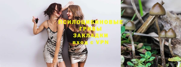 спиды Гусь-Хрустальный