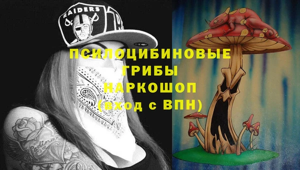 2c-b Гусиноозёрск