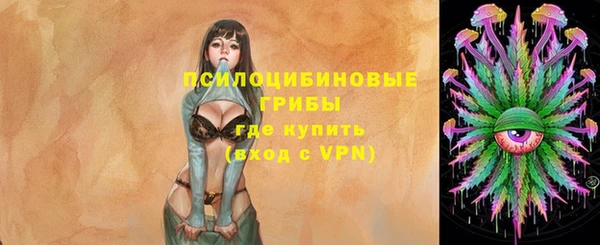 2c-b Гусиноозёрск