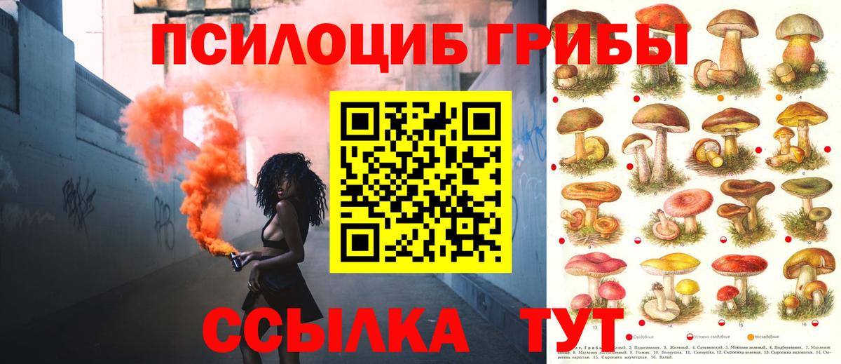 Псилоцибиновые грибы MAGIC MUSHROOMS  Славянск-на-Кубани 