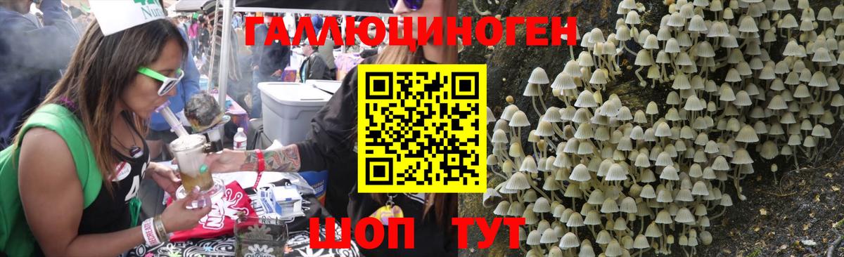Галлюциногенные грибы мухоморы  Галлюциногенные грибы Psilocybe  Вход с VPN  Славянск-на-Кубани 